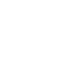 icon 0